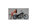 Harley Davidson Touring [2008-2024]-Supercharger 2-part brake disc behind-3