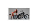 Harley Davidson Touring [2008-2024]-Supercharger 2-part brake disc behind-8