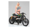 Harley Davidson Sportster [2014-2020] – Velocity 2-teiliger Bremsscheibe Schwarz-4