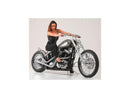 Harley Davidson Sportster [1986-2010]-Nitro brake disc stainless steel polished 11.5 "-4