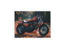 Harley Davidson Dyna [2000-2005]-Eliminator 7 Belt disc black 1 1/8 "70 teeth-3