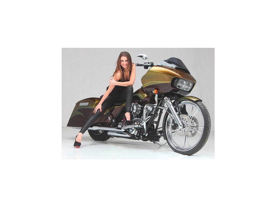 Harley Davidson Sportster [2014-2020]-T-5 2-part brake disc chrome 11.8 "