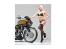 Harley Davidson Touring [2008-2024] – T-5 Bremsscheibe Edelstahl poliert 11,8" hinten-3