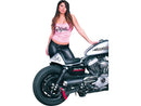 Harley Davidson Sportster [2004-2020]-Heck for Sporter Cafe Racer models-2