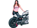 Harley Davidson Sportster [2004-2020]-Heck for Sporter Cafe Racer models-7