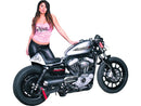 Harley Davidson Sportster [2004-2020]-Heck for Sporter Cafe Racer models-8