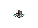 Harley Davidson FX Model [1985-1994]-high-performance bee basket valve spring kit-1