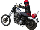 Harley Davidson Sportster [2004-2020] – Hohe Sissy Bar mit Polster, verchromt-7