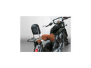 Harley Davidson Scout [2015-2024] – Paladin Rückenlehne Gepäckträger Chrom-8