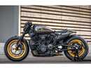 Harley Davidson Sportster S RH1250S [2021-2024] – Riemenabdeckung für Sportster S-4