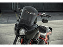 Harley Davidson FXLR [2018-2020] – Club Style Pullback No Instrument Riser Kit-13