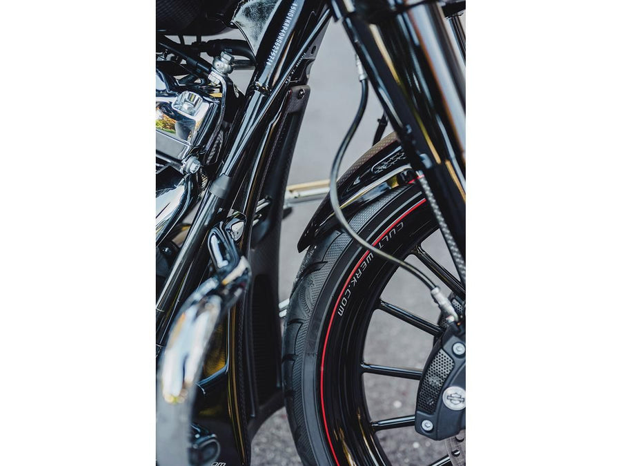 Harley Davidson Flhrxs [2021-2025]-Custom Chin Disguise ready for painting