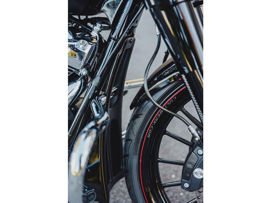 Harley Davidson Flhrxs [2021-2025]-Custom Chin Disguise ready for painting
