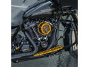 Harley Davidson FLHXSE [2023-2024] – Method™ Clear Series Luftfilter Gold Eloxiert-4