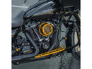 Harley Davidson FLHXSE [2023-2024] – Method™ Clear Series Luftfilter Gold Eloxiert-11