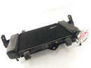 Yamaha YZF 125 RE06 [2011] - Kühler Wasserkühler-2