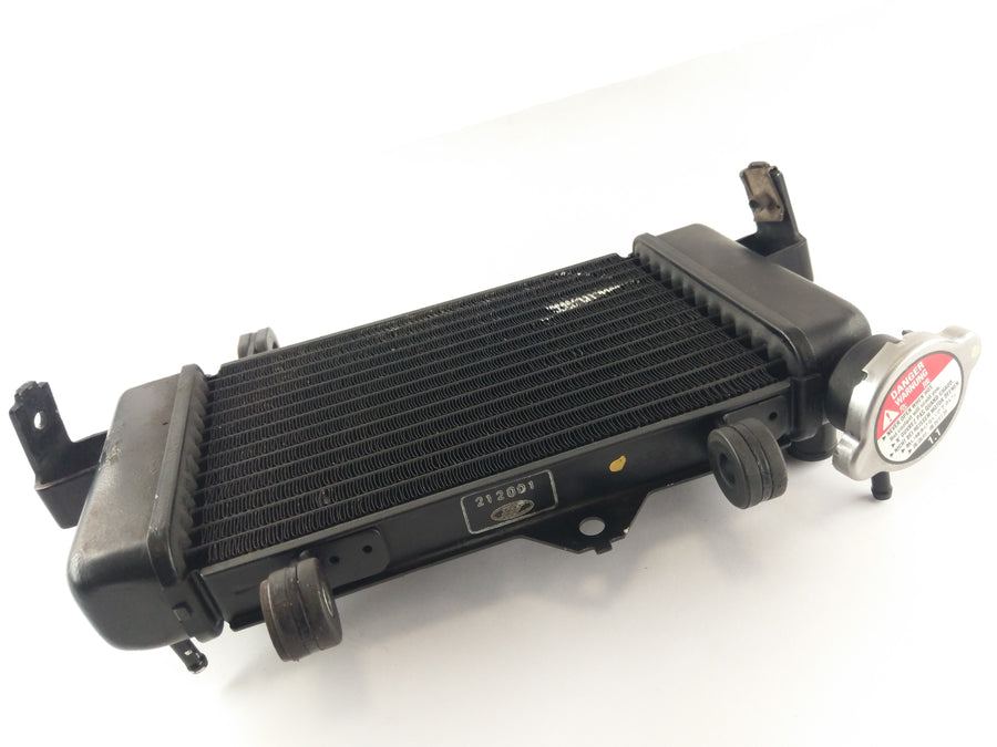 Yamaha YZF 125 RE06 [2011] - Kühler Wasserkühler
