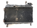 Yamaha TZR 125 4FL [1997] - Radiator slightly warped-4