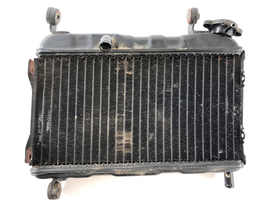 Yamaha TZR 125 4FL [1997] - Radiator slightly warped
