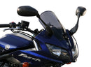 Yamaha FZS 1000 FAZER [2001-2005] – Racingscheibe "R"-1