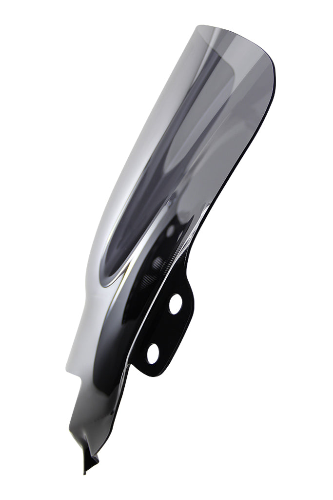 Suzuki GSF 650 S [2009-] – Racingscheibe "R"