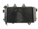 KTM Duke 390 [2014] - Water Cooler Radiator-5