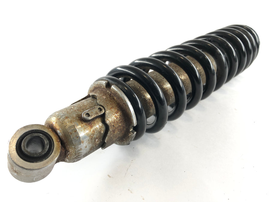 BMW R 1100 GS 259 ​​[1995] - front suspension Telelever