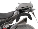 BMW M 1000 RR [2023-2025] - C-Bow Seitenträger-1