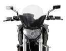 Yamaha MT-09 / FZ-09 [2014-2016] – Racingscheibe "NRN"-7