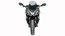 Kawasaki NINJA 1000 SX [2020-] – Racingscheibe "R"-1