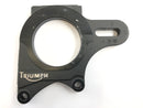 Triumph Daytona 955i T595N [2001] - Ankerplatte Bremsanker-1