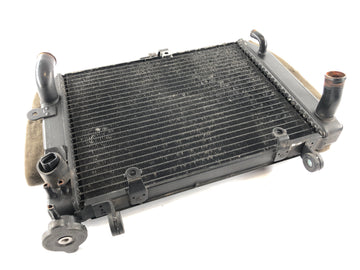 Yamaha YZF R6 RJ03 [2000] - Radiator Water Cooler - 0