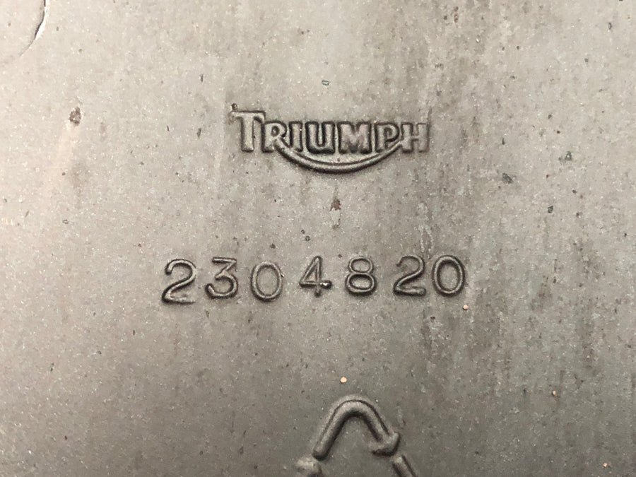 Triumph Daytona 955i T595N [2001] - Front fender with mounting