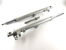 BMW R 1150 R R21 [2002] - Gabel Telegabel mit Achse Telelever-5