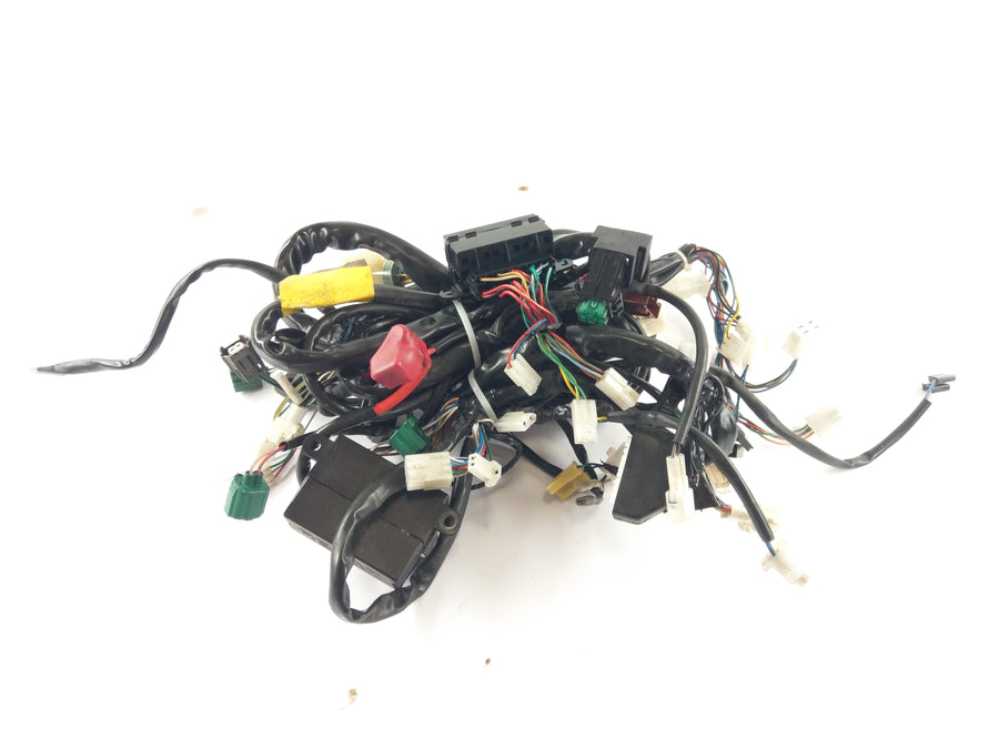 Aprilia RSV 1000 Tuono RP [2005] - Wiring harness