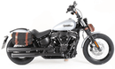 Harley-Davidson Softail Standard [2020-2025] - C-Bow Seitenträger-1