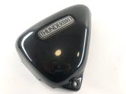 Default Title Triumph Thunderbird 900 RT T309 [1997] - Seitendeckel links