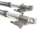 Aprilia RSV 1000 Tuono RP [2005] - Fork Telescopic fork with axle-5