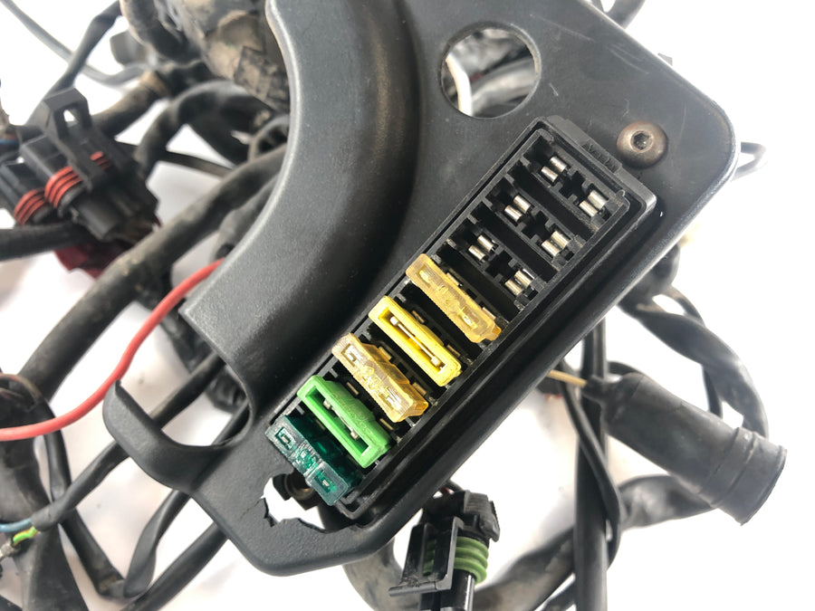 Ducati 900 SS [1992] - Wiring harness