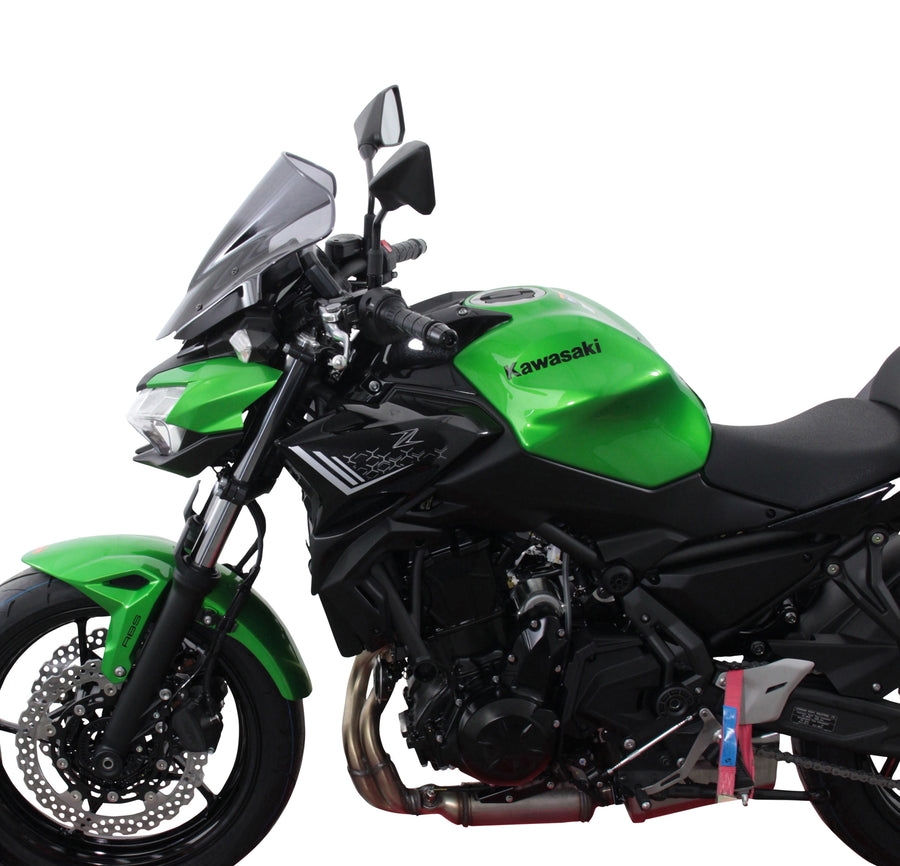 Kawasaki Z 650 [2020-]-Racing disc "NRN"