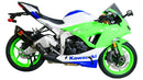 Kawasaki ZX 6 R Ninja [2024-]-Racing disc "R"-5