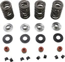 Harley-Davidson XL 1200 Sportster [2020] - Endurance Beehive® valve springs with titanium spring plates - picture 8