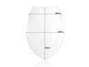BMW R 1200 R [WRS] – Windschild-2