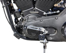 harley davidson sportster s 1250 [THRASHIN SUPPLY CO.] - P-54 shift peg-4