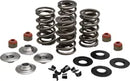 Harley-Davidson FLSTNSE 1800 Softail Deluxe CVO [2014-2015] - Endurance Beehive valve spring set for Screamin' Eagle heads - picture 9