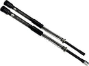 Harley-Davidson FLSB 1750 Softail Sport Glide 107 [2022, 2023-2024] - AXEO Softail front suspension - picture 6