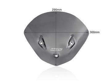 bmw s 1000 [WRS] – Windschild - 0