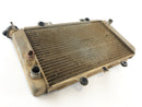Yamaha Grizzly 660 AM03W [2003] - Radiator Water Cooler-4
