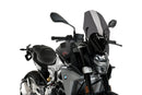 BMW F 900 R [2025] – Z-Racing Scheibe – Carbon look-6