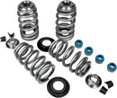 Harley-Davidson Xl 1200 Cx [2020] - Endurance Beehive® valve springs with titanium spring plates - picture 1